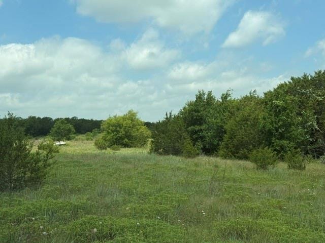 3828 W Fm 219, Hico TX 76457 - Photo 8