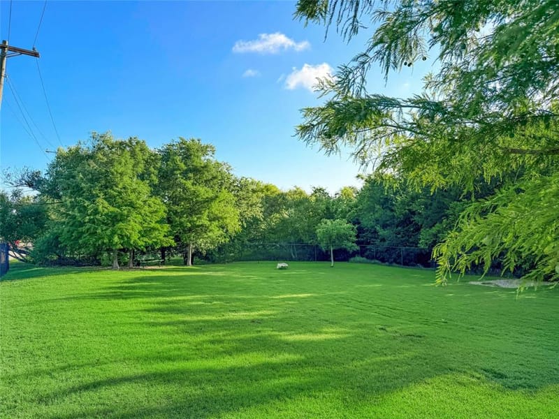 1308 Warbler Drive, Little Elm TX 75068 - Photo 21
