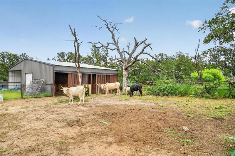 1017 County Road 3555, Paradise TX 76073 - Photo 33