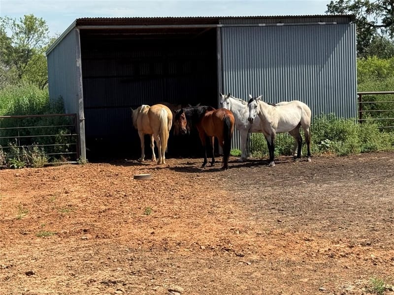 1017 County Road 3555, Paradise TX 76073 - Photo 35