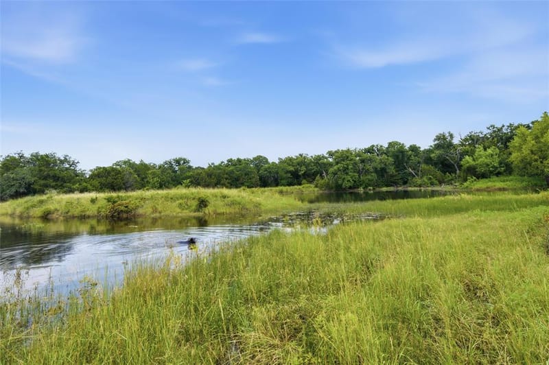 5835 N Fm 1744, Hico TX 76457 - Photo 16