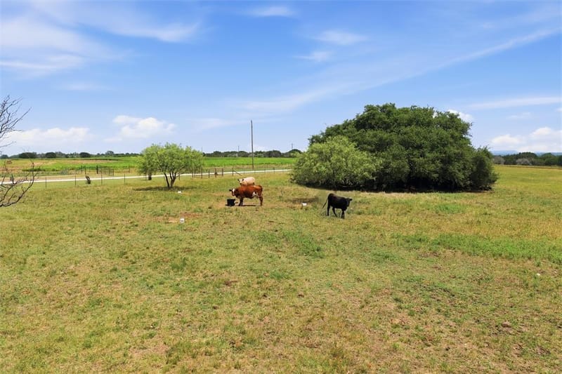 5835 N Fm 1744, Hico TX 76457 - Photo 7