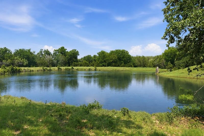 5835 N Fm 1744, Hico TX 76457 - Photo 9