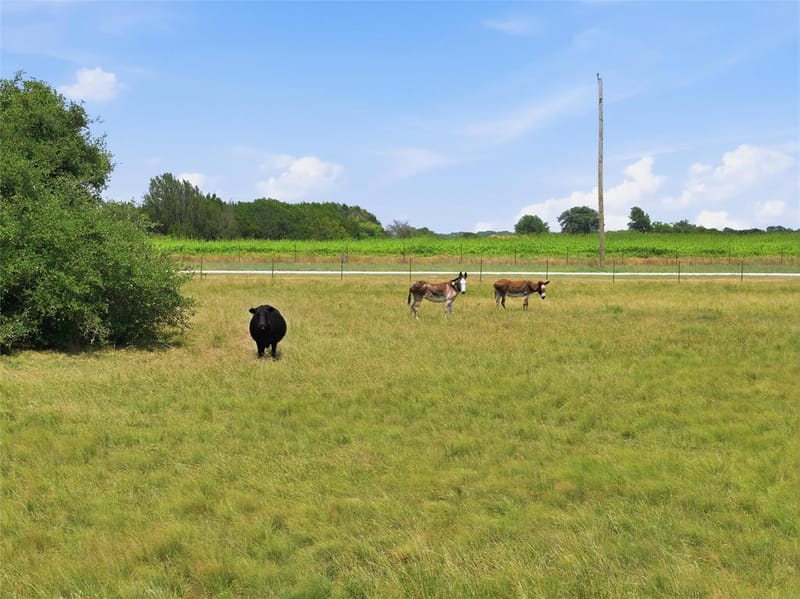 5835 N Fm 1744, Hico TX 76457 - Photo 19