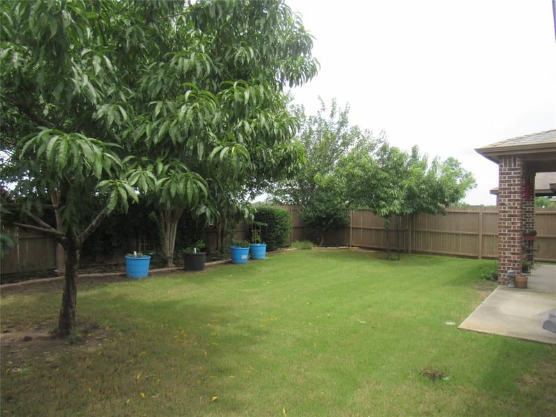 1513 San Carlos Drive, Van Alstyne TX 75495 - Photo 5