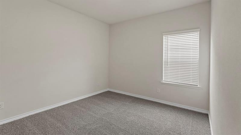 447 Epiphany Lane, Lavon TX 75166 - Photo 22