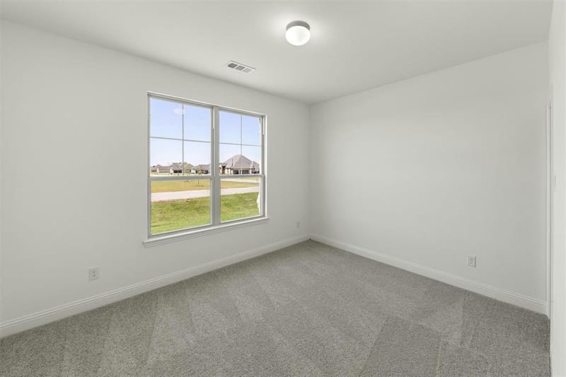 313 Hollingsworth Lane, Glenn Heights TX 75154 - Photo 11