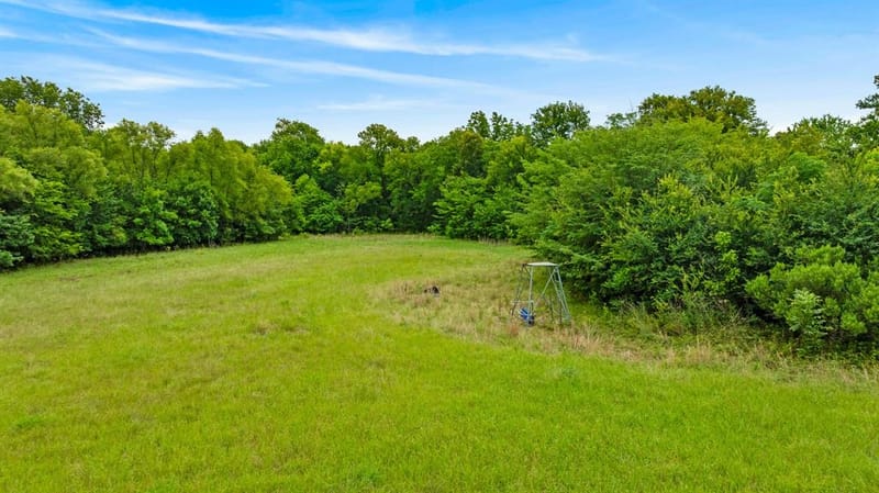 1285 FARM ROAD 196, Pattonville TX 75468 - Photo 6