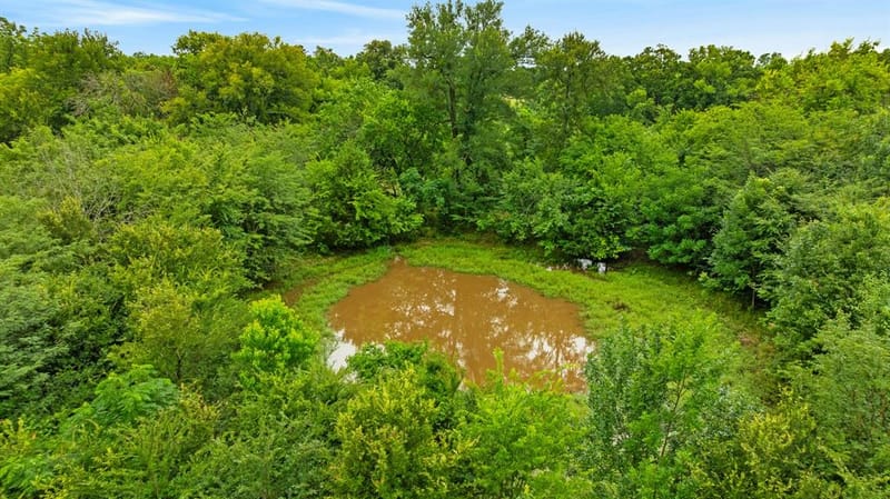 1285 FARM ROAD 196, Pattonville TX 75468 - Photo 7