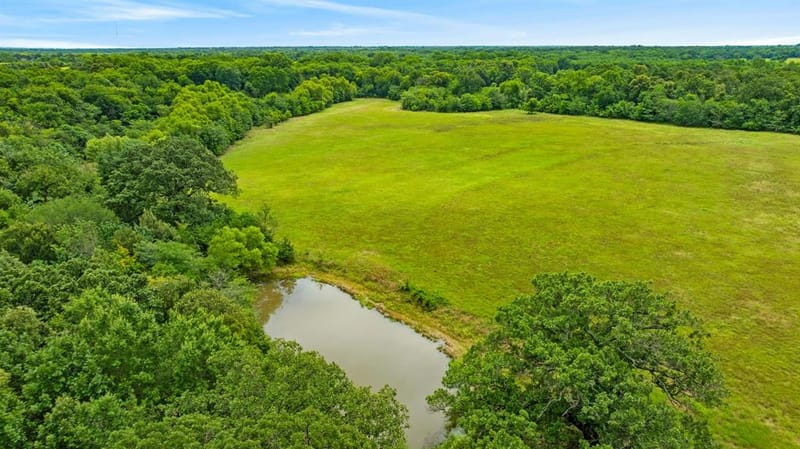 1285 FARM ROAD 196, Pattonville TX 75468 - Photo 9