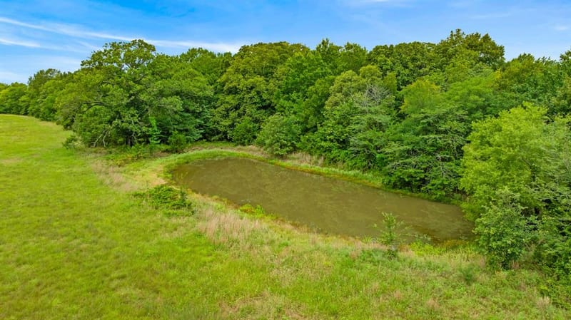 1285 FARM ROAD 196, Pattonville TX 75468 - Photo 8