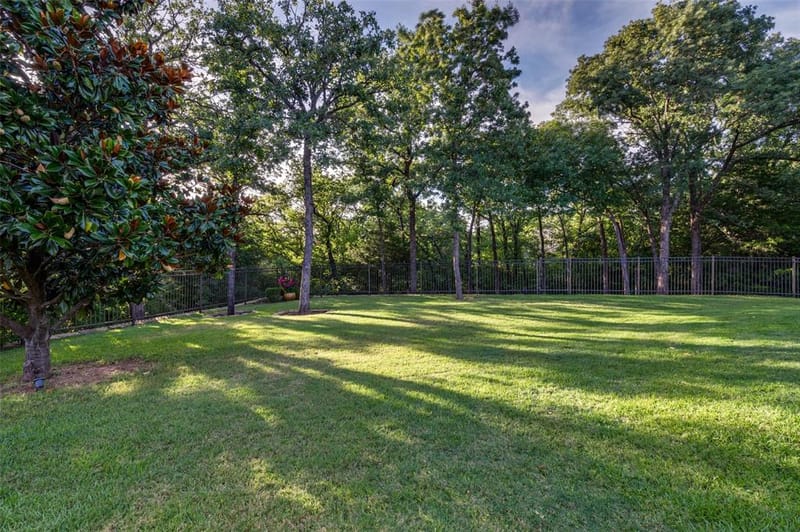 8411 Buffalo Drive, Lantana TX 76226 - Photo 32