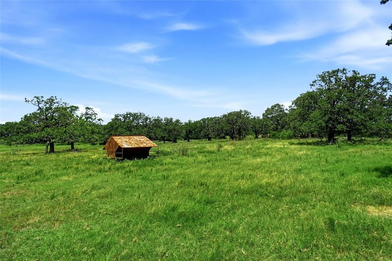 2186 Gilliland Road, Springtown TX 76082 - Photo 11