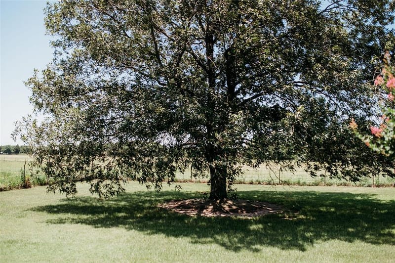 408 County Road 2200, Ivanhoe TX 75447 - Photo 37