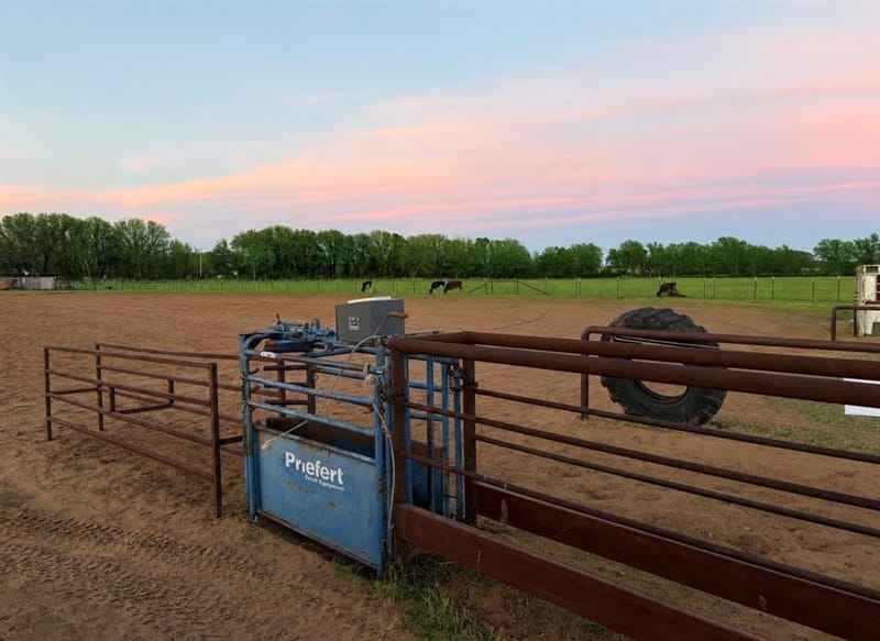 695 County Road 416 Road, Comanche TX 76442 - Photo 16