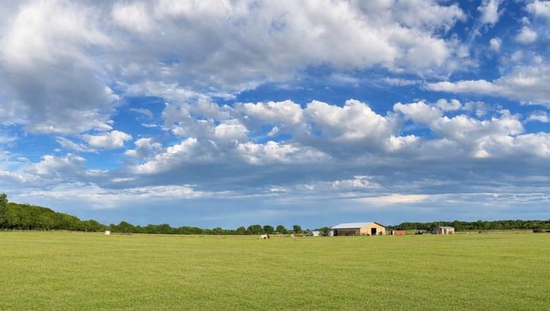 695 County Road 416 Road, Comanche TX 76442 - Photo 20