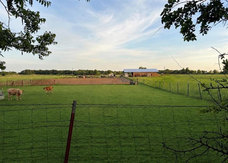 695 County Road 416 Road, Comanche TX 76442 - Photo 19