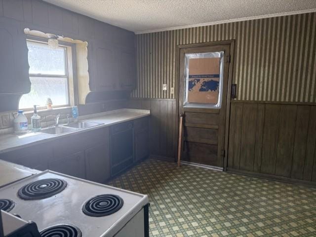 2736 County Road 314, Cleburne TX 76031 - Photo 14