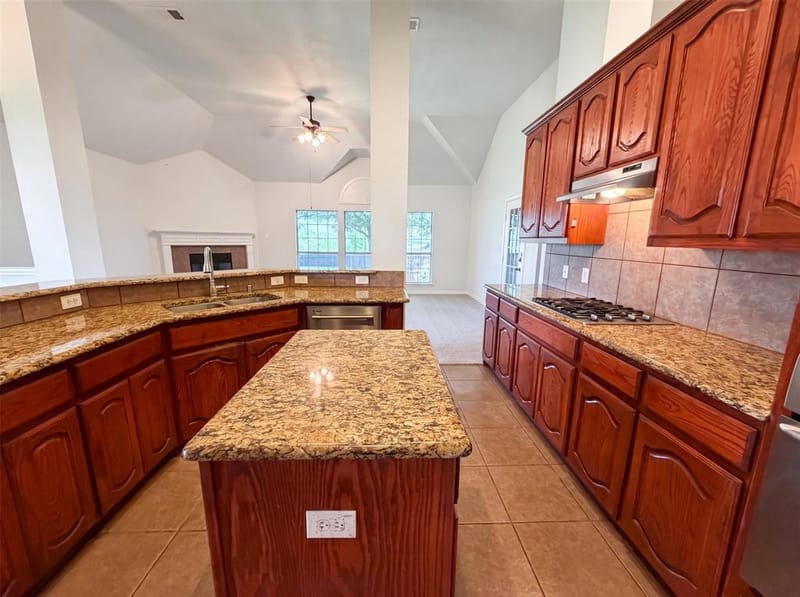 529 Olympia Street, DeSoto TX 75115 - Photo 2