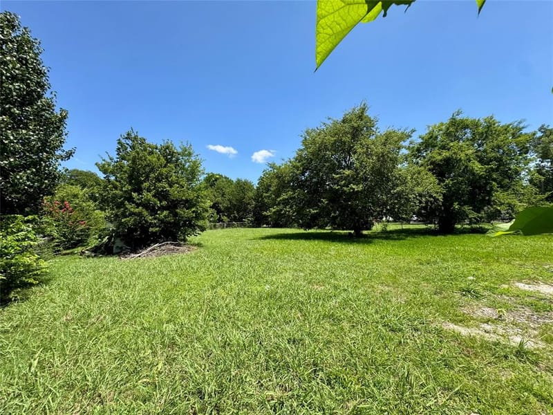 2506 Lolita Drive, Dallas TX 75227 - Photo 23