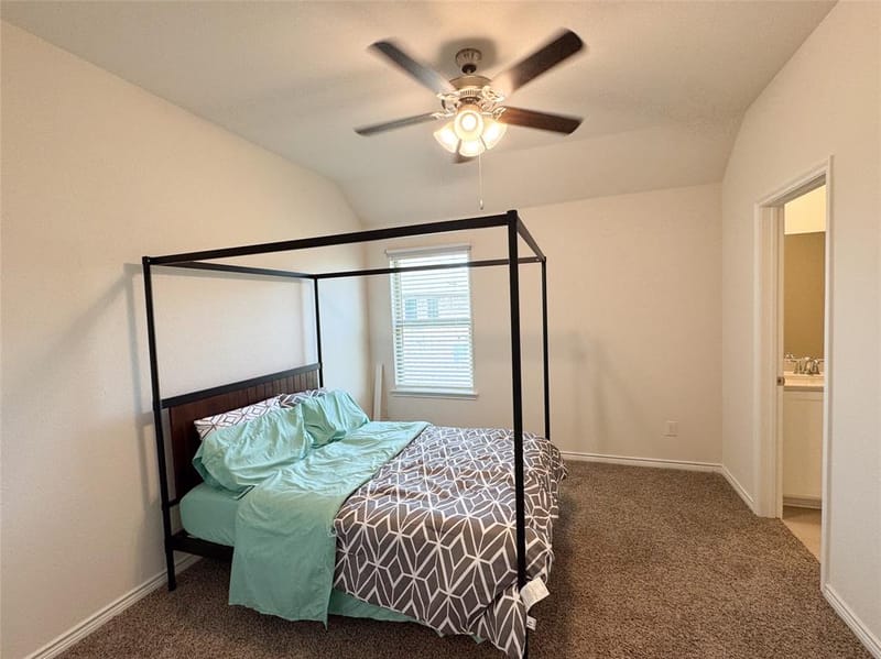 10305 Geode Street, Aubrey TX 76227 - Photo 26