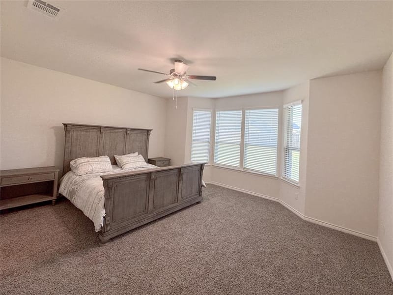 10305 Geode Street, Aubrey TX 76227 - Photo 20