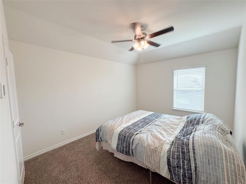 10305 Geode Street, Aubrey TX 76227 - Photo 31