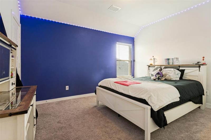 456 Leopold Trail, Waxahachie TX 75165 - Photo 21