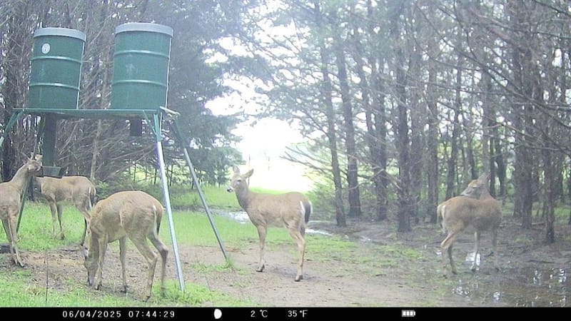 905 E Fm 120, Denison TX 75021 - Photo 2