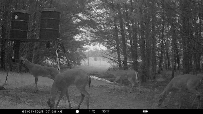 905 E Fm 120, Denison TX 75021 - Photo 37