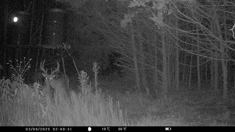 905 E Fm 120, Denison TX 75021 - Photo 35