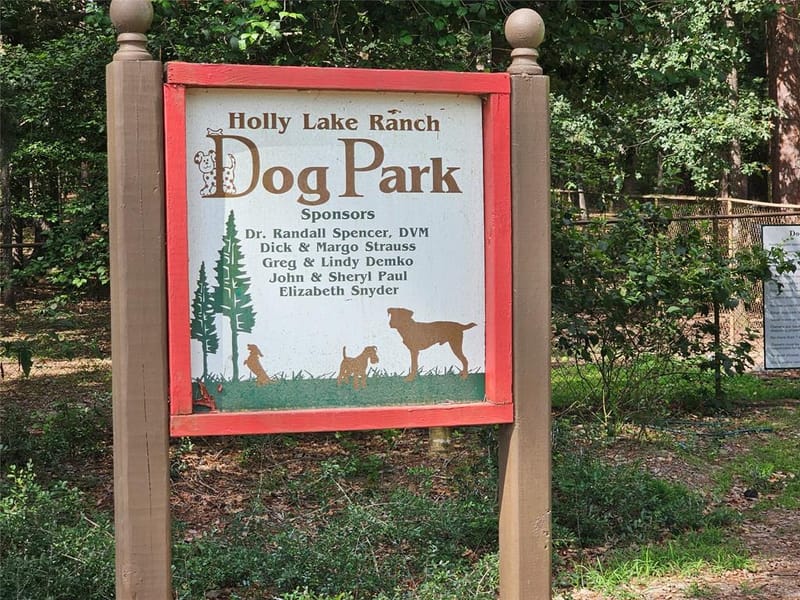 411 Green Meadow Trail, Holly Lake Ranch TX 75765 - Photo 36