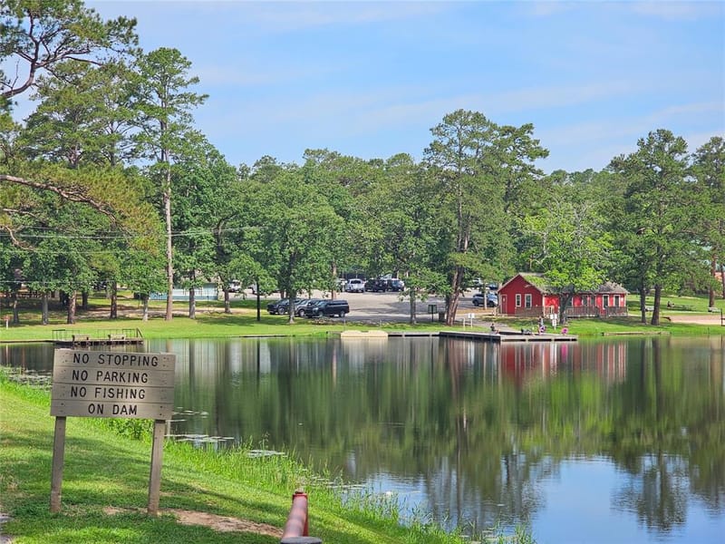 411 Green Meadow Trail, Holly Lake Ranch TX 75765 - Photo 35