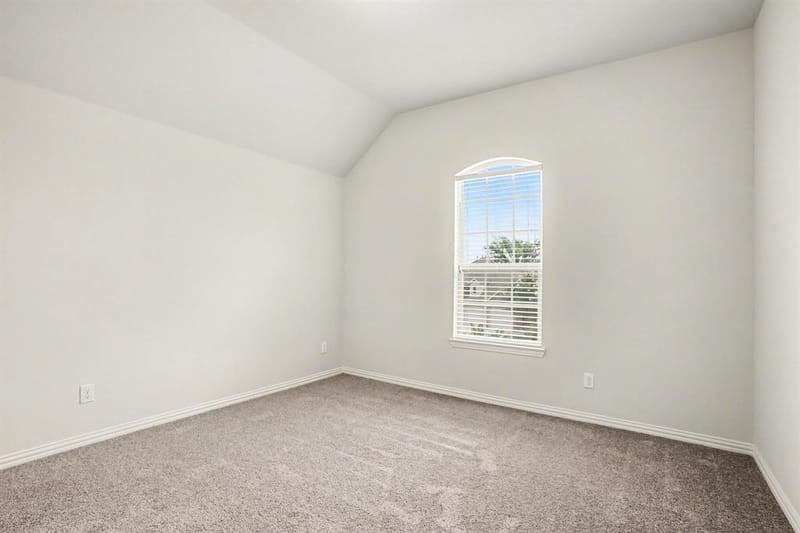 1729 Morning Mist Way, St. Paul TX 75098 - Photo 24