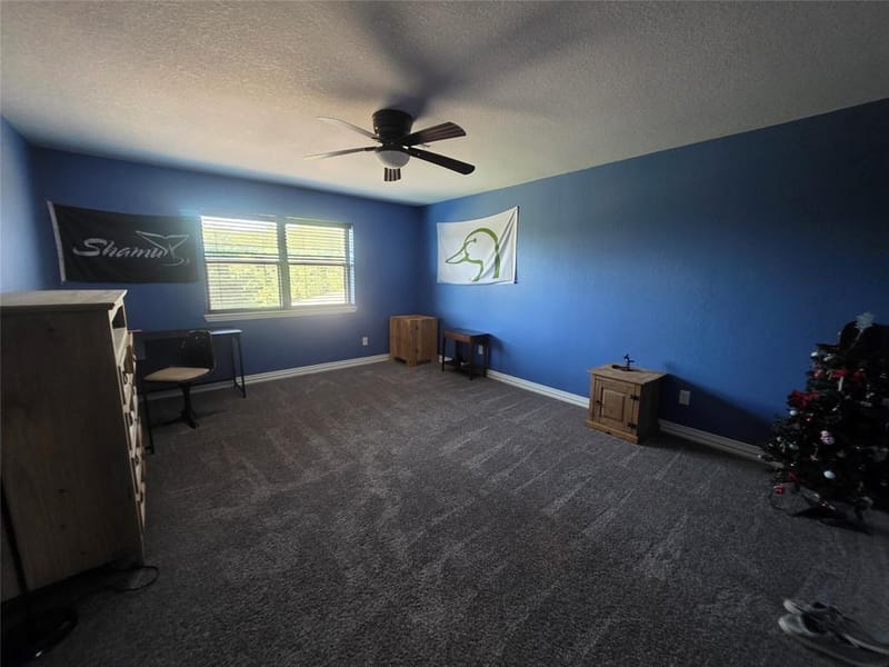204 Jermyn Road, Jermyn TX 76459 - Photo 33