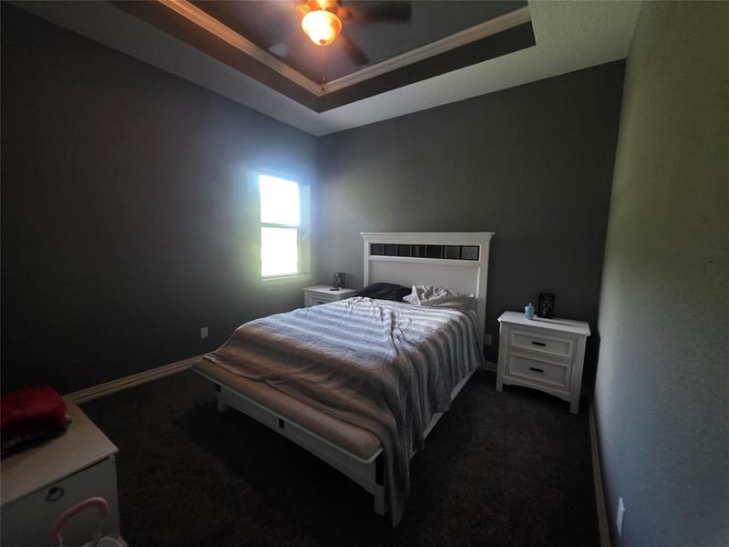 204 Jermyn Road, Jermyn TX 76459 - Photo 14