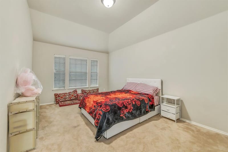 2312 Tawny Owl Road, Grand Prairie TX 75052 - Photo 29
