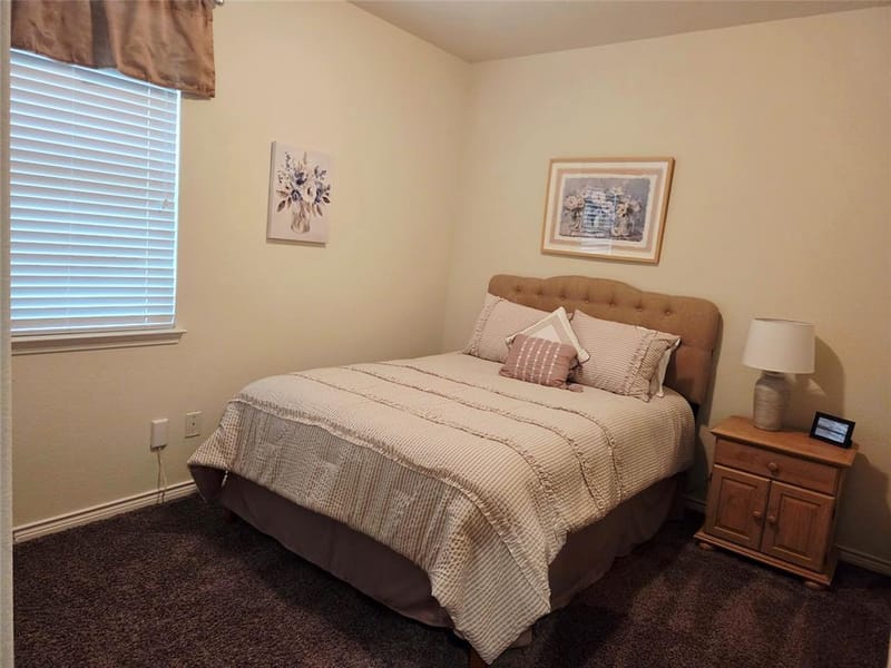 2453 Larimar Drive, Little Elm TX 76227 - Photo 11