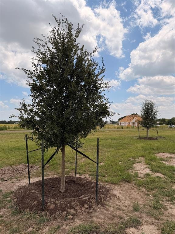 495 High Meadow, Elm Mott TX 76640 - Photo 21