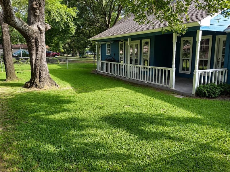 245 Shady Shores Drive, Mabank TX 75156 - Photo 21