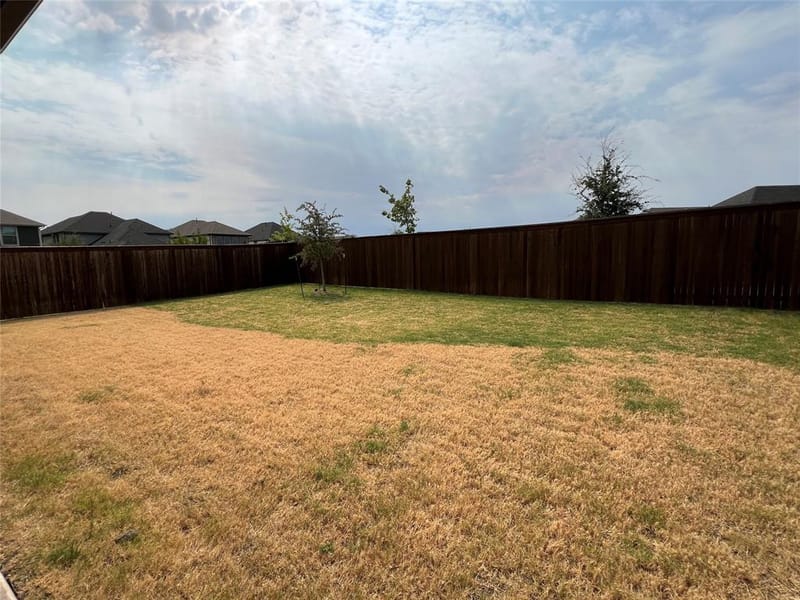 3707 Palo Pinto Drive, Farmersville TX 75442 - Photo 19