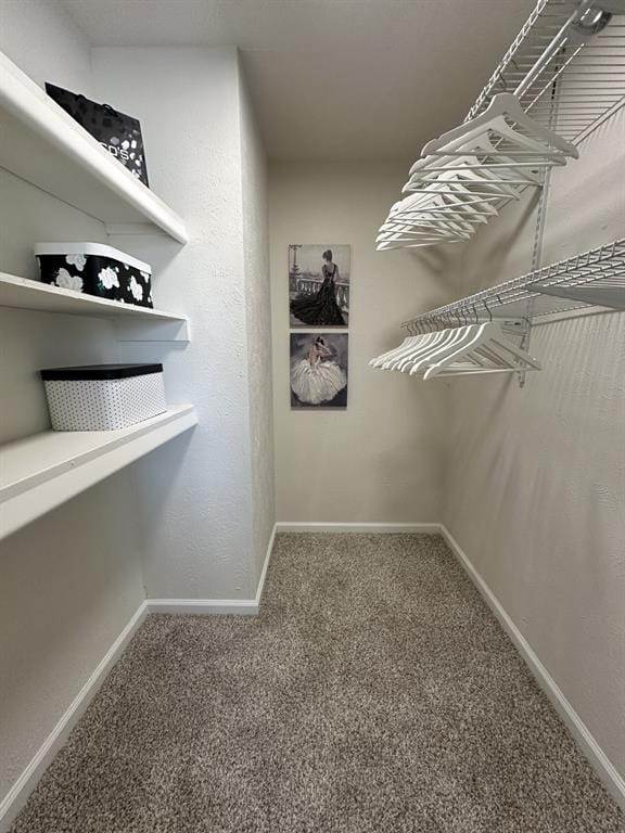 2036 Apple Valley Road, Plano TX 75023 - Photo 23
