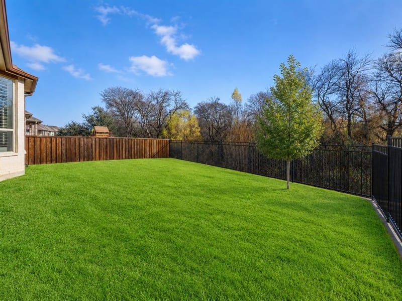 2813 Black Walnut Street, McKinney TX 75071 - Photo 18