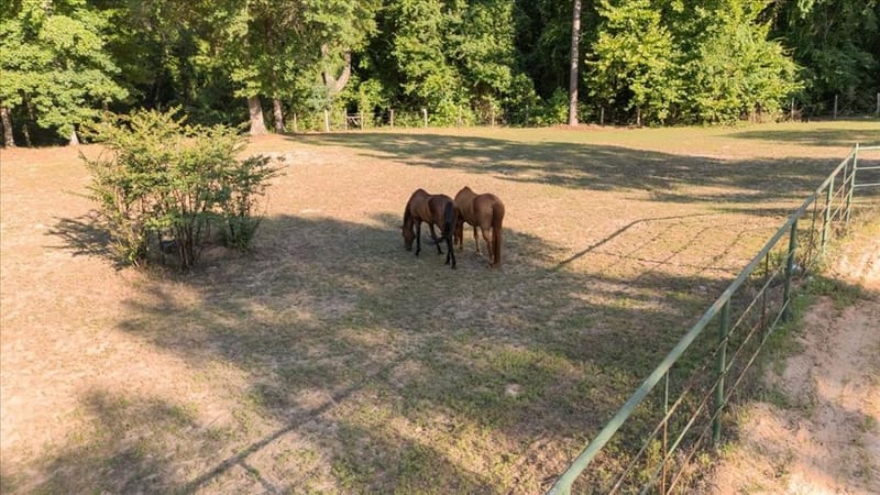 18598 FM 1804, Lindale TX 75771 - Photo 39
