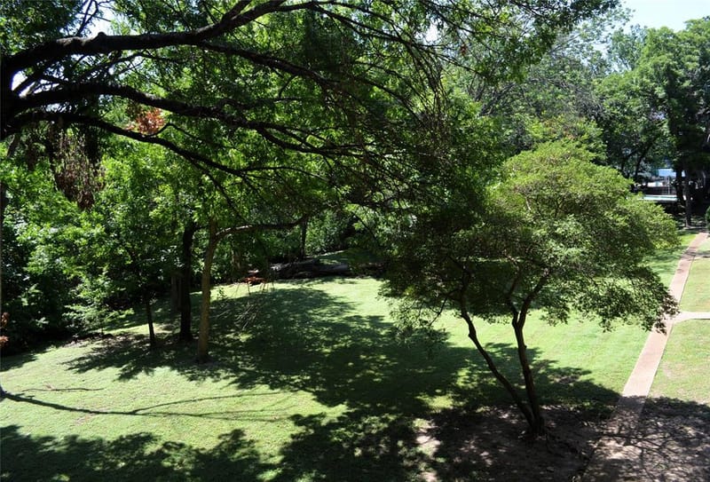 7660 Skillman Street # 401, Dallas TX 75231 - Photo 10