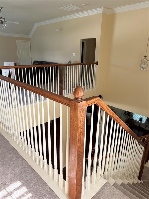 1101 Wenk Court, Aubrey TX 76227 - Photo 14