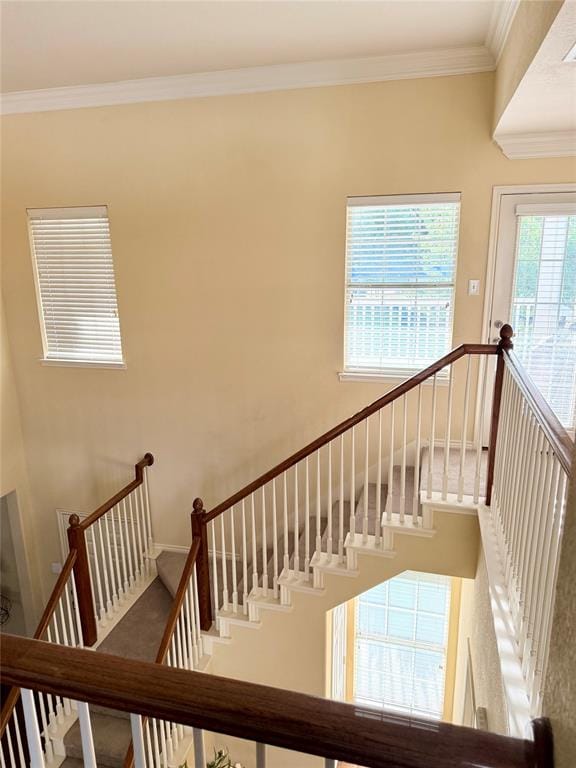 1101 Wenk Court, Aubrey TX 76227 - Photo 15