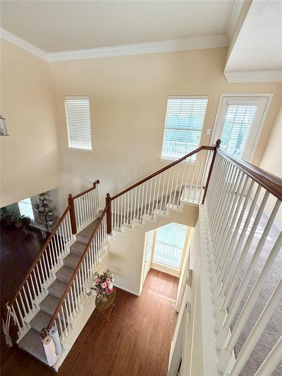 1101 Wenk Court, Aubrey TX 76227 - Photo 11