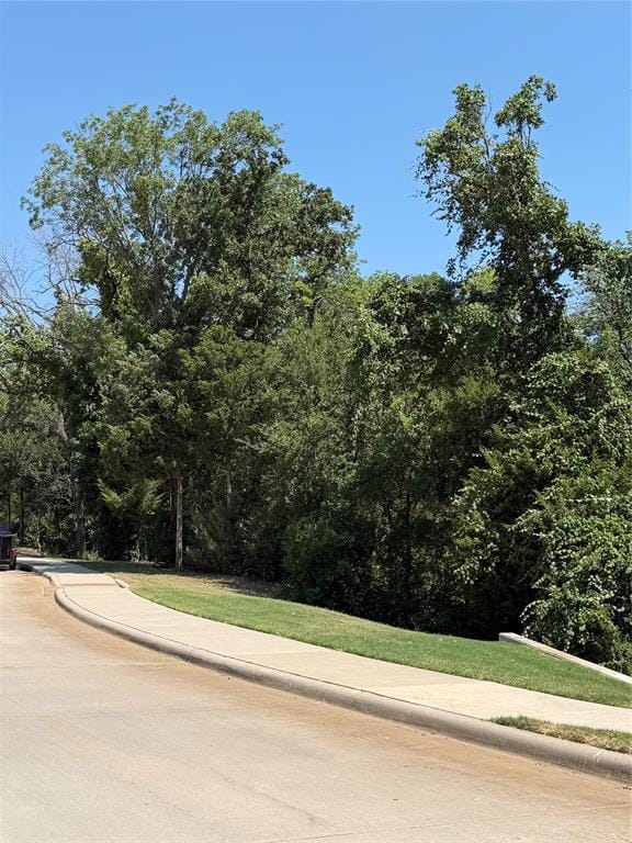 1370 Madison Avenue, Flower Mound TX 75028 - Photo 31