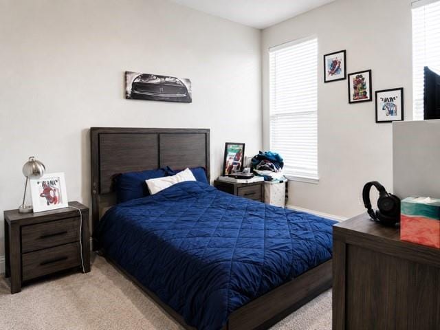 4017 Lagos Drive, Midlothian TX 76065 - Photo 14